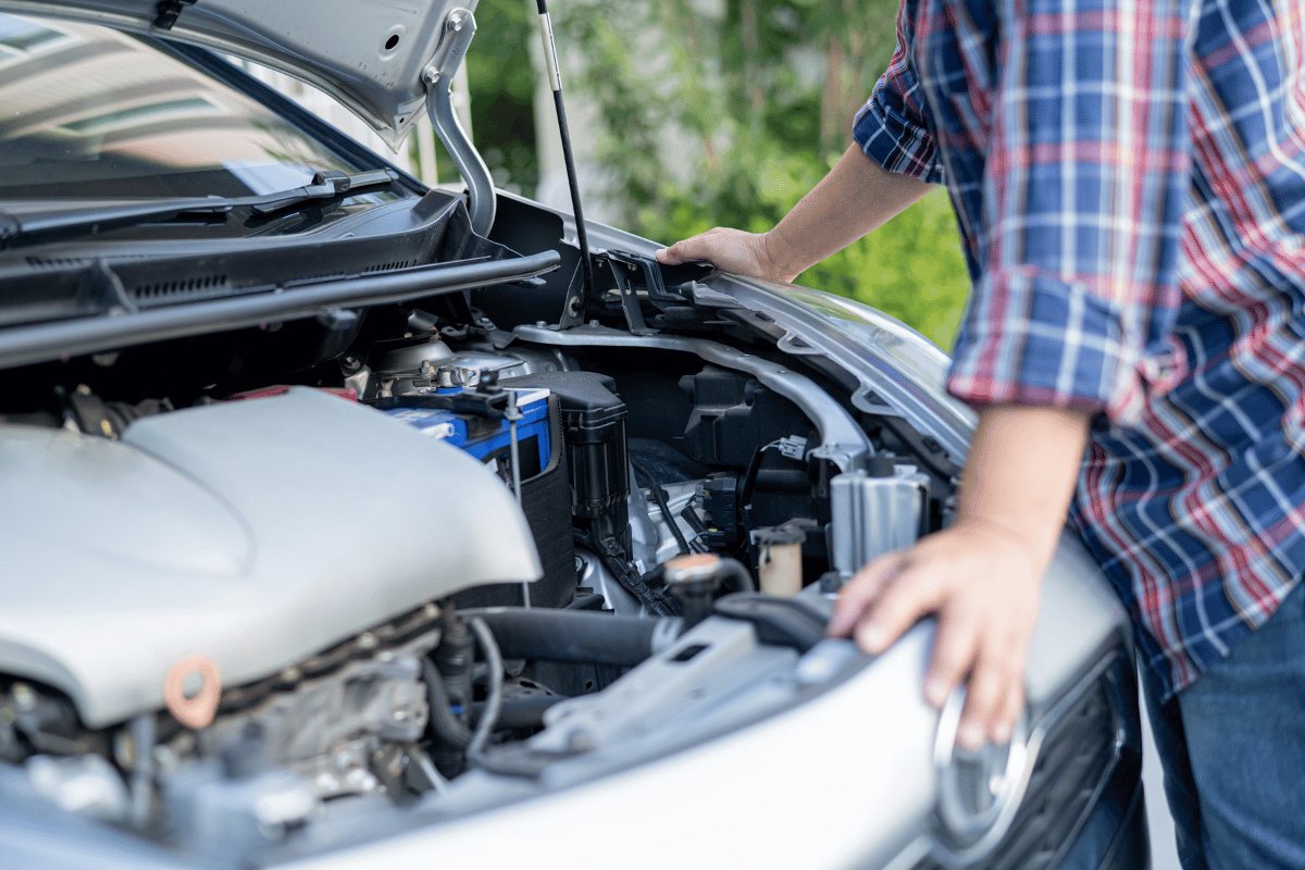 car mechanic checking alternator under hood